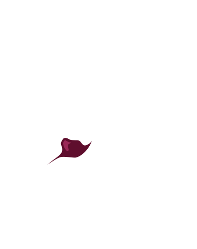Ristorante il Salotto